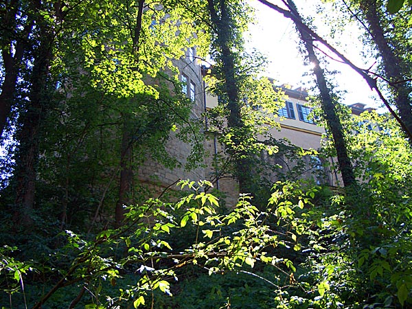 Schloss Hohentuebingen from the woods