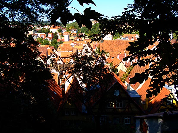 Tuebingen through the trees