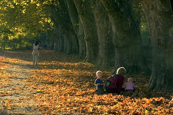 Family, Platanenallee