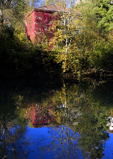 Neckar Reflection, Tuebingen