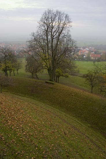 Castle Colmberg, View