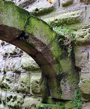 Castle Colmberg, Arch