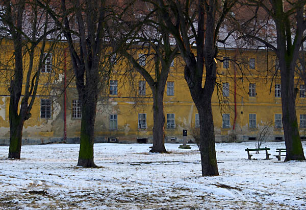 Theresienstadt, Trees