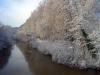 Neckar River, Snow